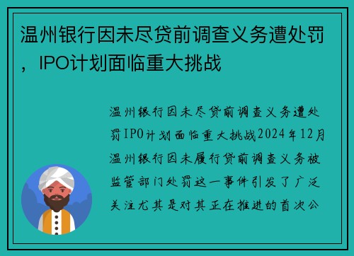 温州银行因未尽贷前调查义务遭处罚，IPO计划面临重大挑战