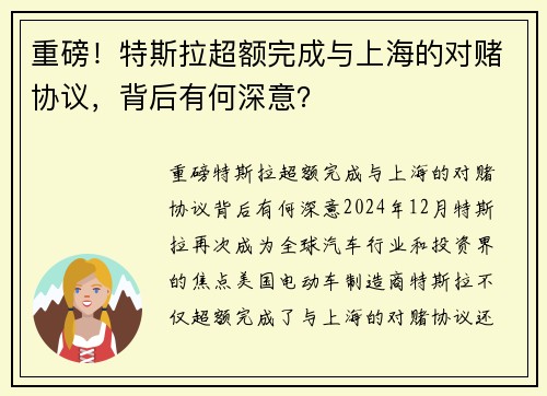 重磅！特斯拉超额完成与上海的对赌协议，背后有何深意？